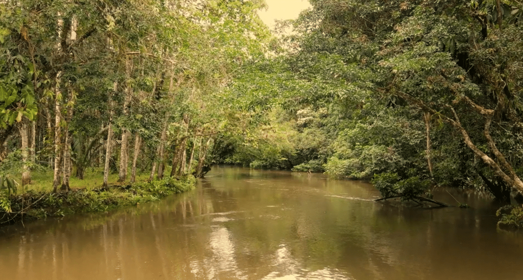 Waorani, dir. Luisana Carcelén / Resistencia femenina en la lucha por el territorio