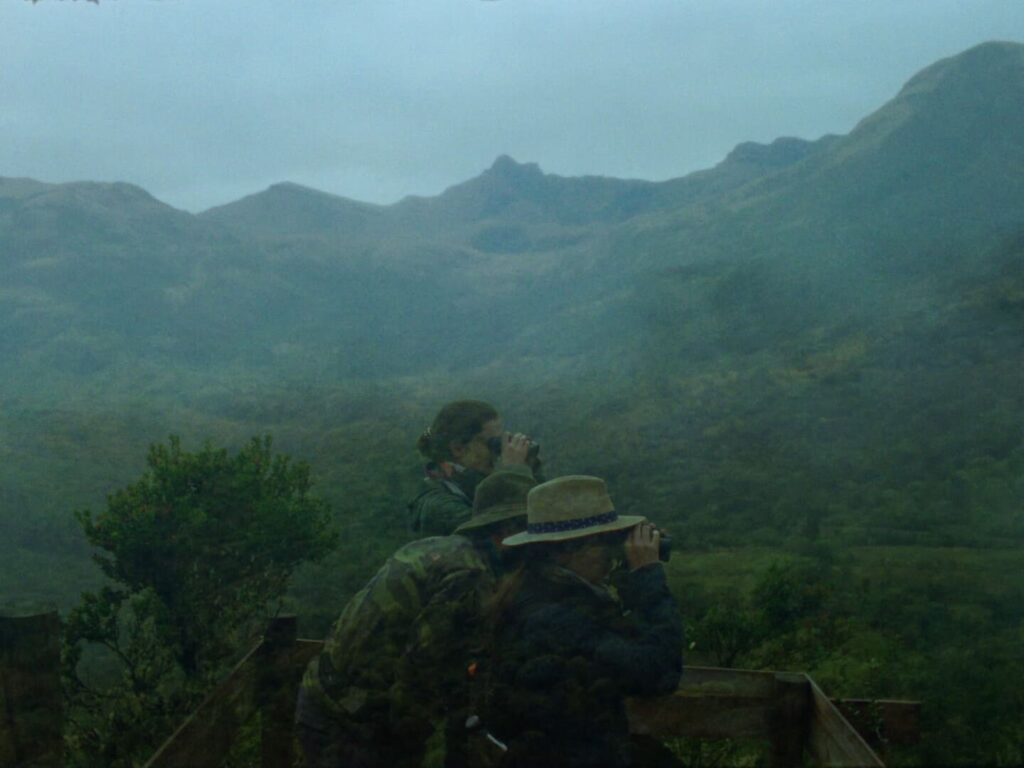 La laguna del soldado, de Pablo Alvarez-Mesa