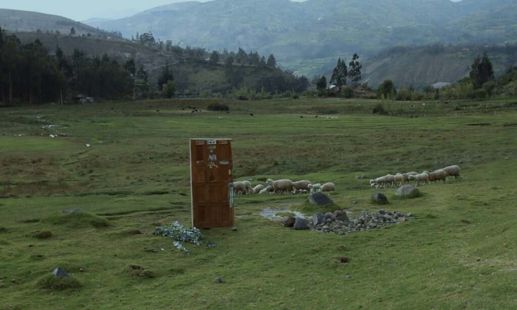 fragmento_ovejas_y_una_puerta_del_documental_un_lugar_donde_quedarse