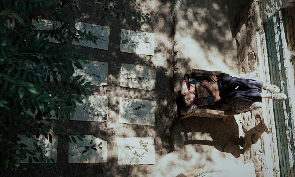 fragmento_largometraje_the_botanist_de_jing_yi