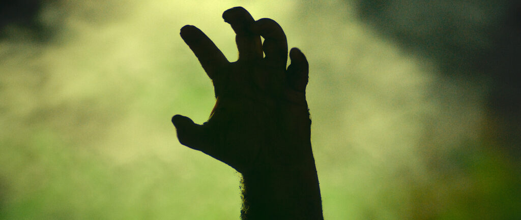 fragmento_de_largometraje_welcome_to_kittytown