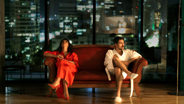 El lenguaje domesticado: Tesis sobre una domesticación.